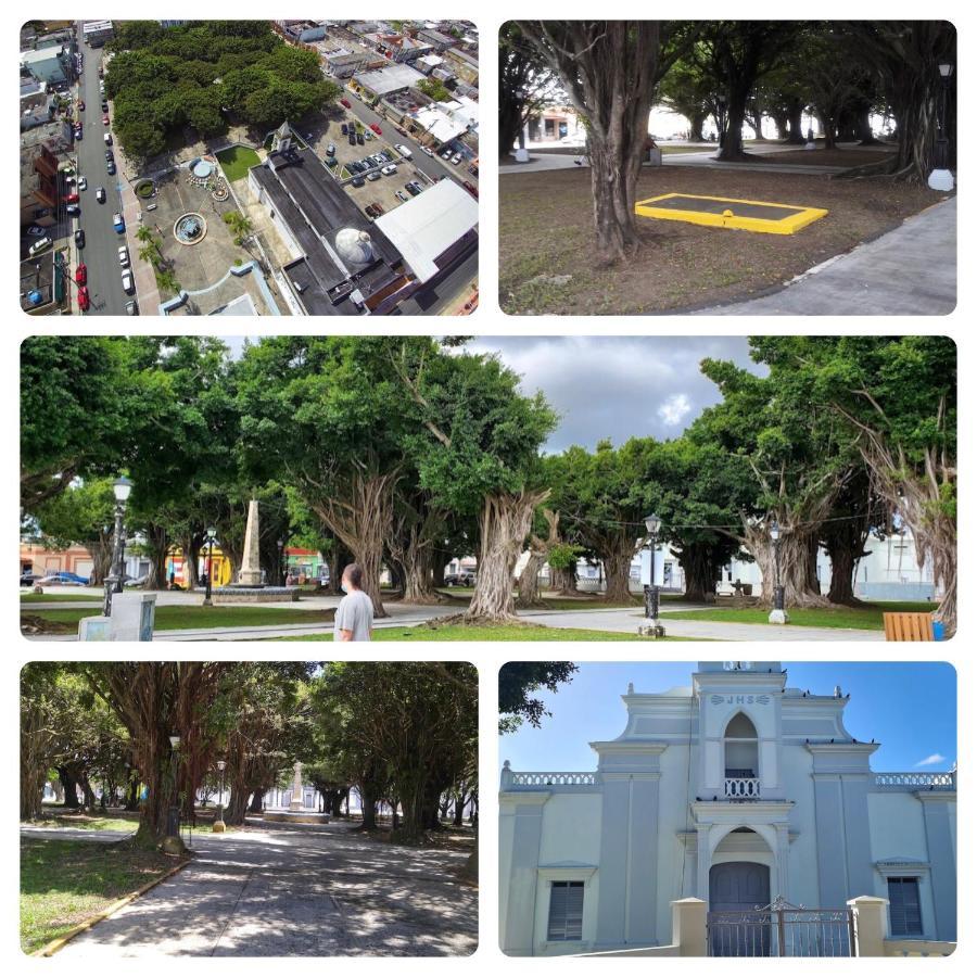 Lacasitadelmalecon Naguabo Екстериор снимка